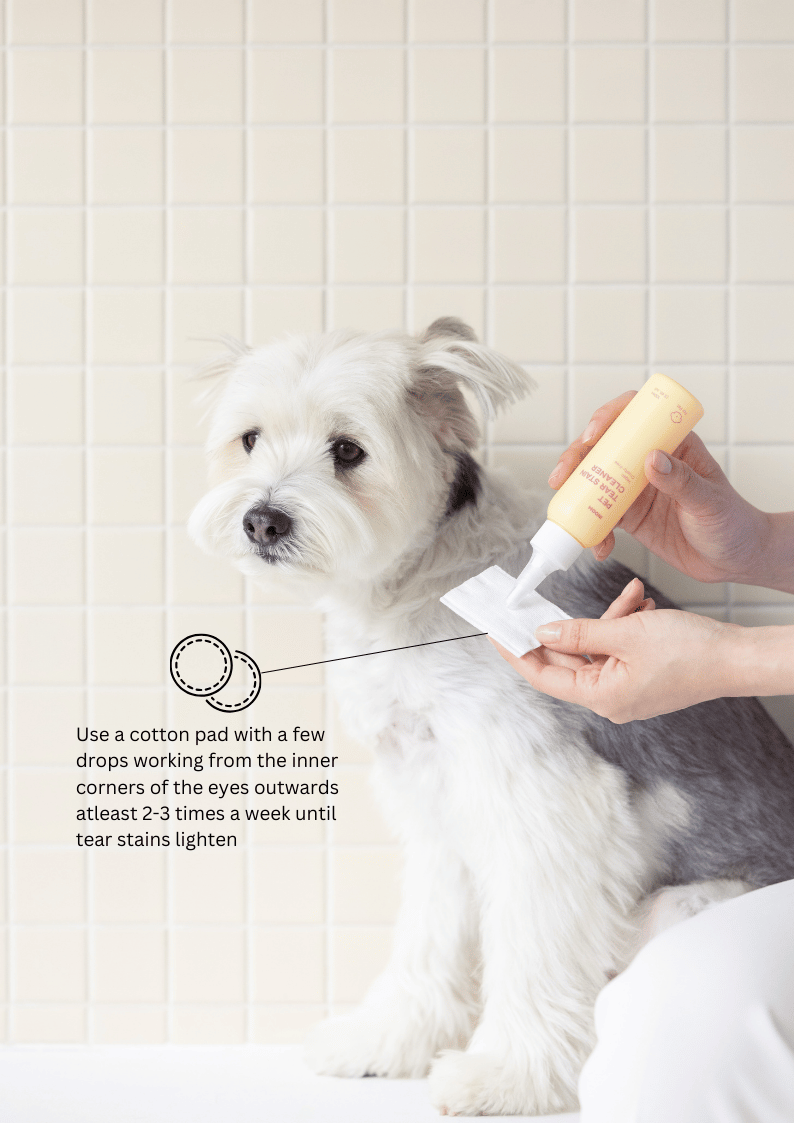 INOOM PET TEAR STAIN CLEANER – INOOM Korea - Main Image