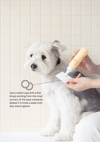 INOOM PET TEAR STAIN CLEANER